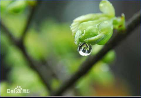 喜訊！2017新年開工第一份中標(biāo)通知書