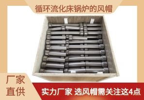 循環(huán)流化床鍋爐的風帽-選風帽需關(guān)注這4點[江河]